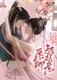 愿卿知我意晋江