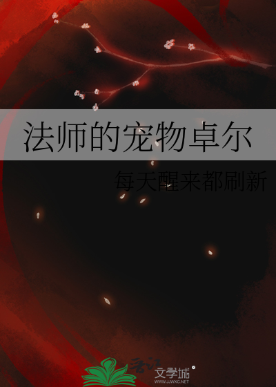 法师宠物列表