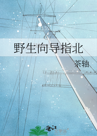 野生向导指北