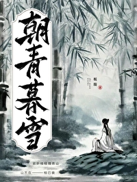 朝青暮雪是成语吗