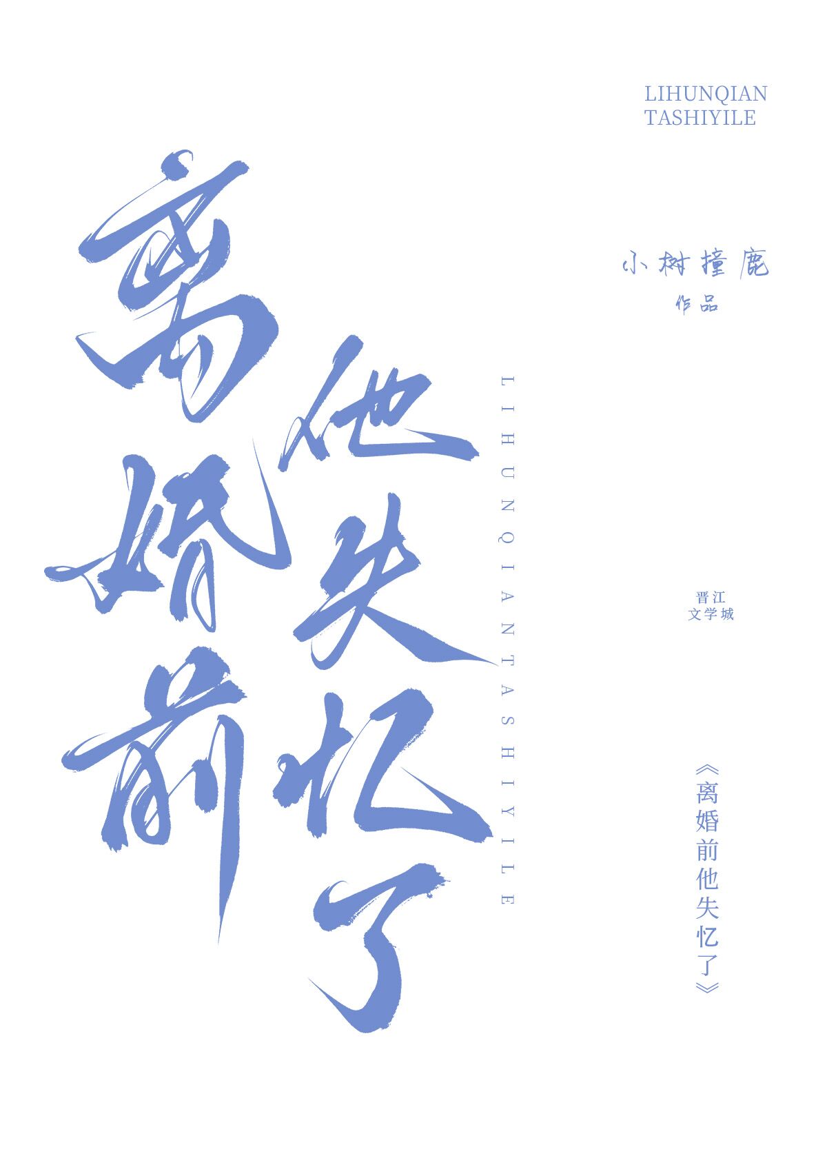 离婚前他失忆了